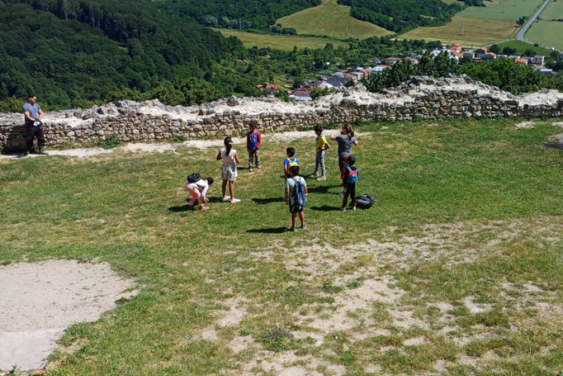 Brekovský hrad