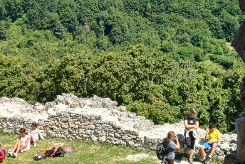 Brekovský hrad