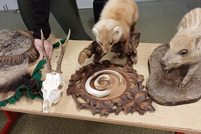 Beseda - Poľovníctvo