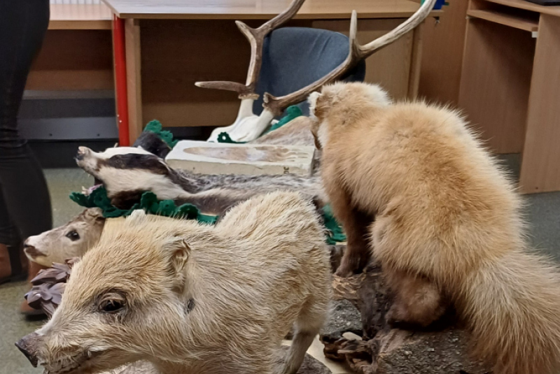 Beseda - Poľovníctvo