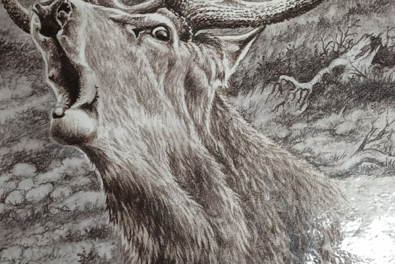 Beseda - Poľovníctvo