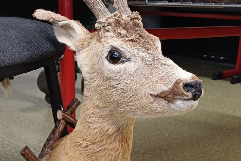 Beseda - Poľovníctvo