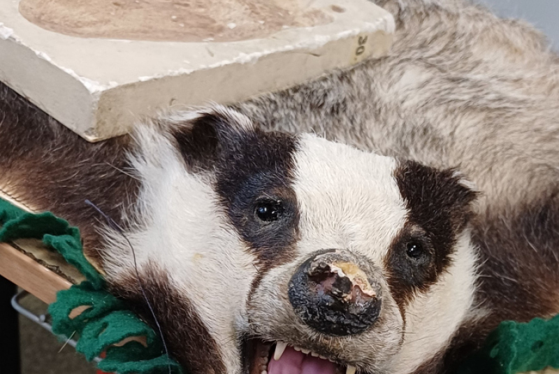 Beseda - Poľovníctvo