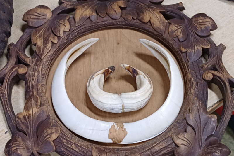 Beseda - Poľovníctvo