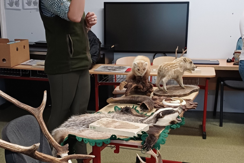 Beseda - Poľovníctvo