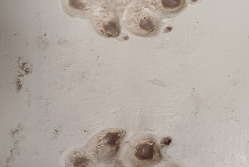 Beseda - Poľovníctvo