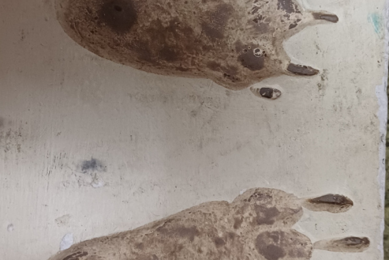 Beseda - Poľovníctvo