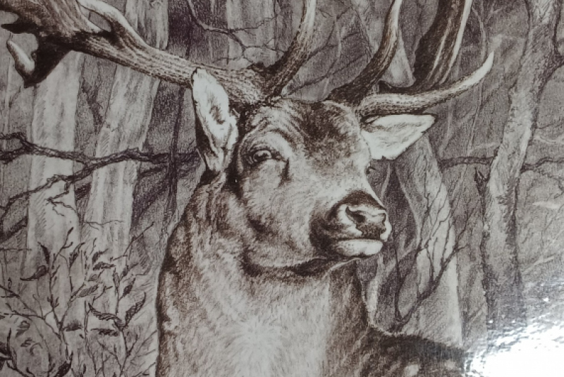 Beseda - Poľovníctvo