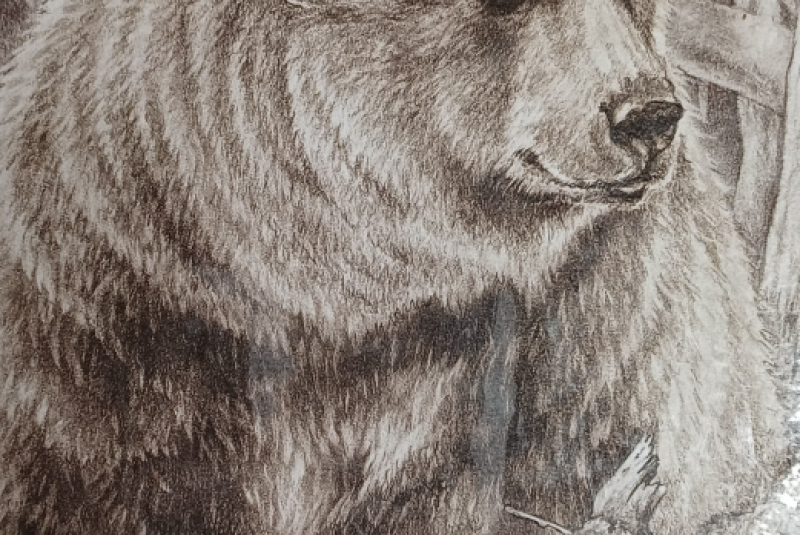 Beseda - Poľovníctvo