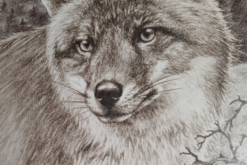 Beseda - Poľovníctvo