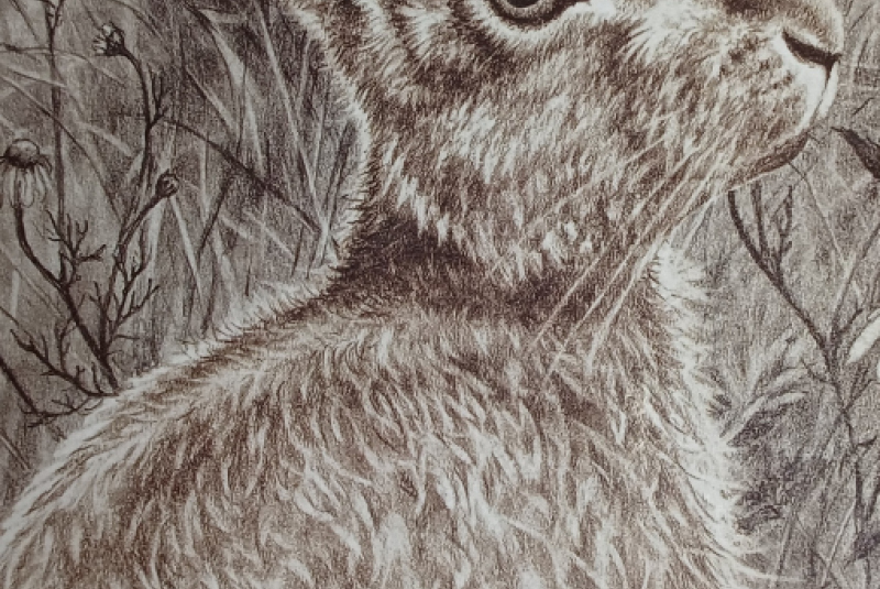 Beseda - Poľovníctvo