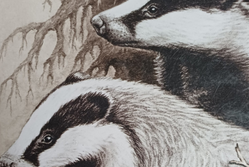 Beseda - Poľovníctvo