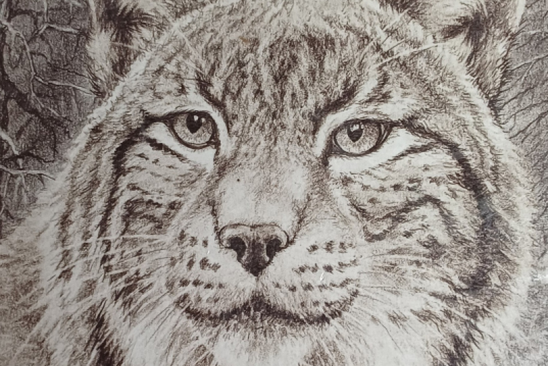 Beseda - Poľovníctvo