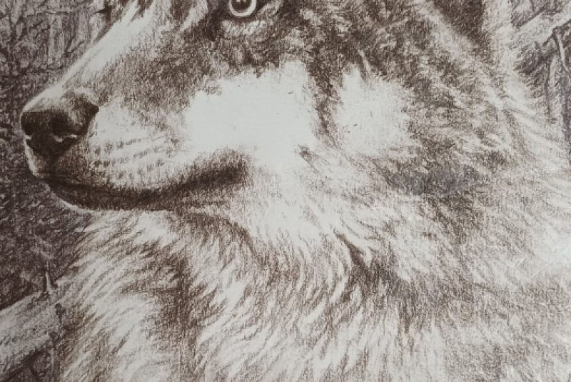 Beseda - Poľovníctvo