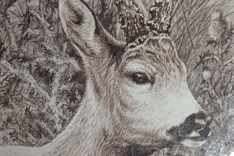 Beseda - Poľovníctvo