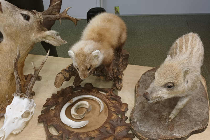 Beseda - Poľovníctvo